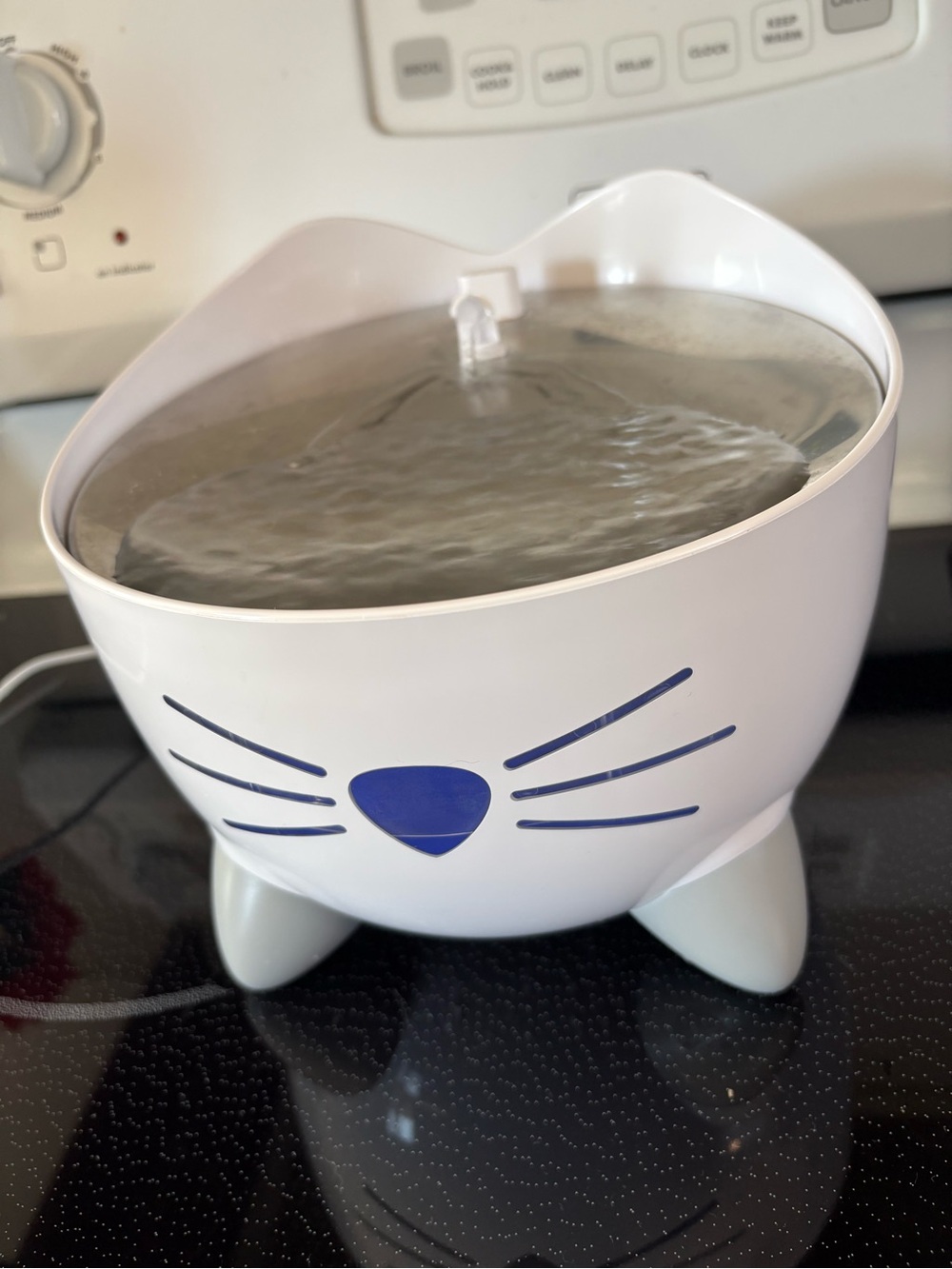 Smart Catit fountain